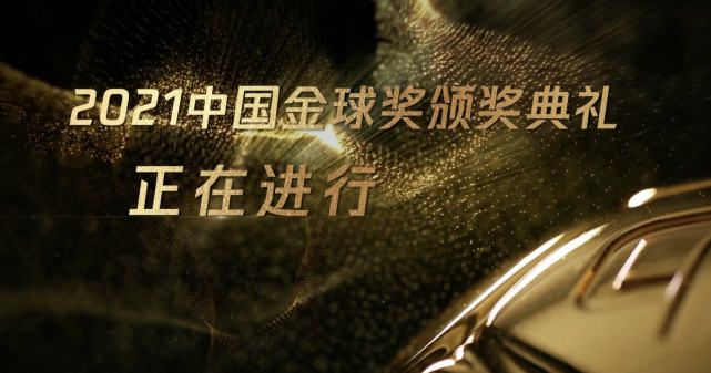 中文无码久久精品